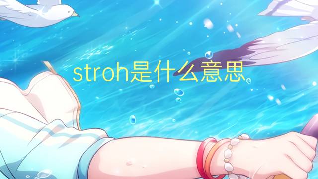 stroh是什么意思 stroh的翻译、读音、例句、中文解释