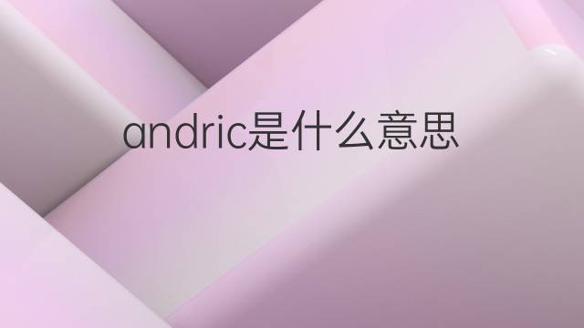 andric是什么意思 英文名andric的翻译、发音、来源