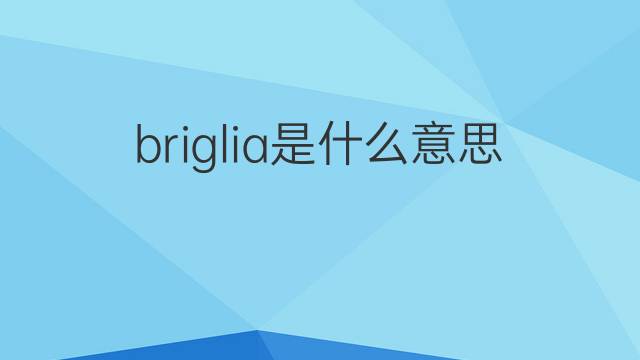 briglia是什么意思 briglia的翻译、读音、例句、中文解释