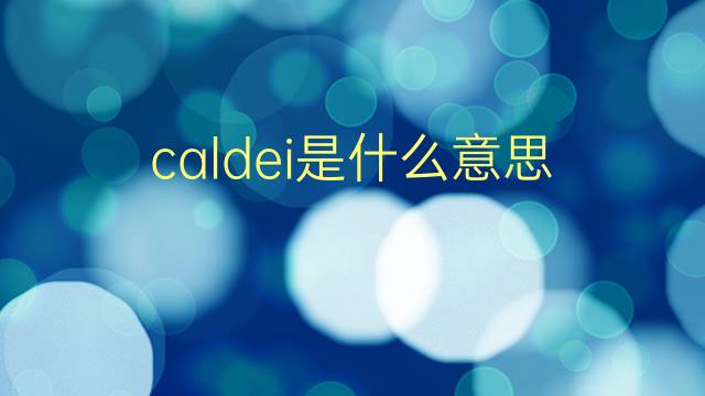 caldei是什么意思 caldei的翻译、读音、例句、中文解释