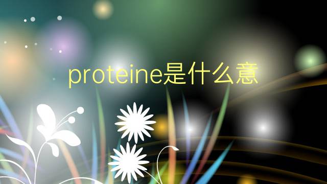 proteine是什么意思 proteine的翻译、读音、例句、中文解释