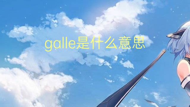 galle是什么意思 galle的翻译、读音、例句、中文解释