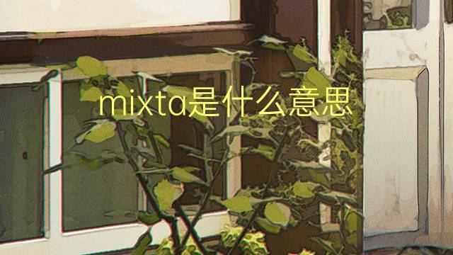 mixta是什么意思 mixta的翻译、读音、例句、中文解释