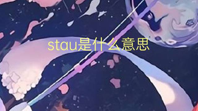 stau是什么意思 stau的翻译、读音、例句、中文解释