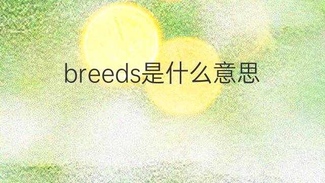 breeds是什么意思 breeds的翻译、读音、例句、中文解释