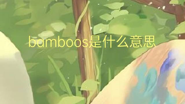 bamboos是什么意思 bamboos的翻译、读音、例句、中文解释