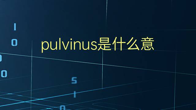 pulvinus是什么意思 pulvinus的翻译、读音、例句、中文解释