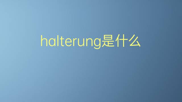 halterung是什么意思 halterung的翻译、读音、例句、中文解释