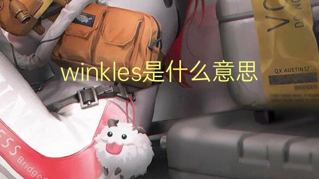 winkles是什么意思 winkles的翻译、读音、例句、中文解释