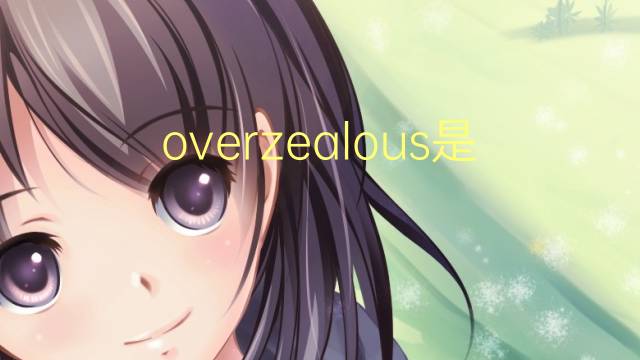 overzealous是什么意思 overzealous的翻译、读音、例句、中文解释