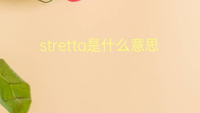 stretta是什么意思 stretta的翻译、读音、例句、中文解释