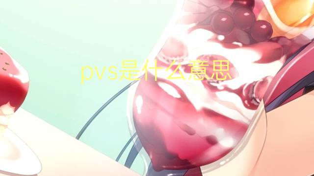 pvs是什么意思 pvs的翻译、读音、例句、中文解释