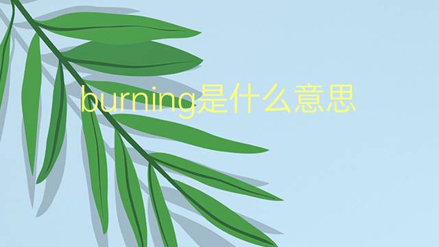 burning是什么意思 burning的翻译、读音、例句、中文解释