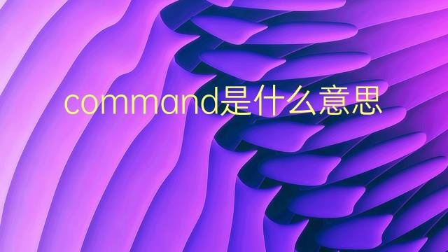 command是什么意思 command的翻译、读音、例句、中文解释