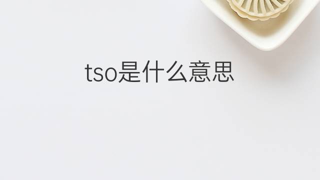 tso是什么意思 tso的翻译、读音、例句、中文解释