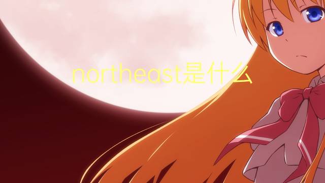 northeast是什么意思 northeast的翻译、读音、例句、中文解释