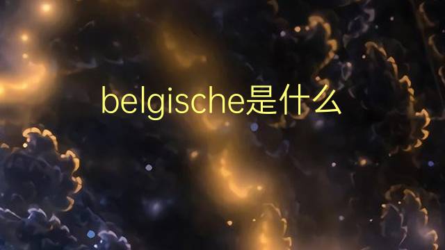 belgische是什么意思 belgische的翻译、读音、例句、中文解释