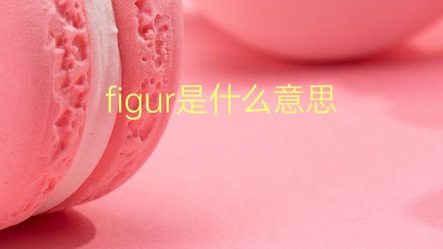 figur是什么意思 figur的翻译、读音、例句、中文解释