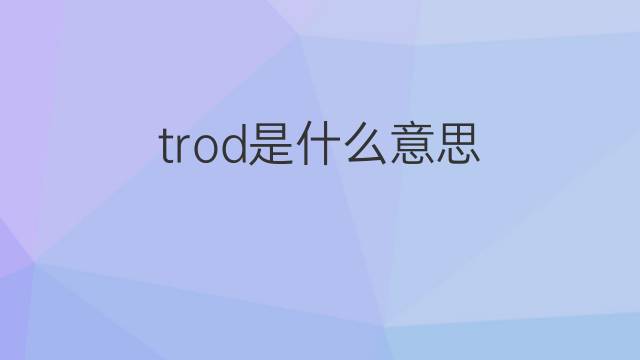 trod是什么意思 trod的翻译、读音、例句、中文解释