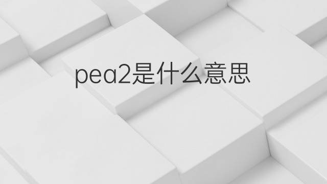 pea2是什么意思 pea2的翻译、读音、例句、中文解释