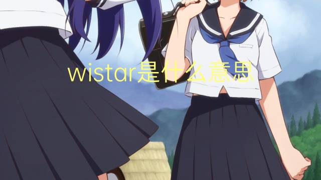 wistar是什么意思 英文名wistar的翻译、发音、来源