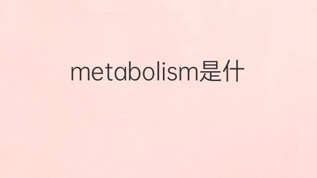 metabolism是什么意思 metabolism的翻译、读音、例句、中文解释