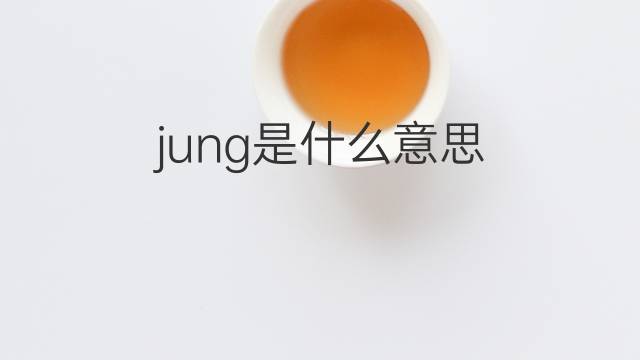 jung是什么意思 jung的翻译、读音、例句、中文解释