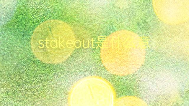 stakeout是什么意思 stakeout的翻译、读音、例句、中文解释