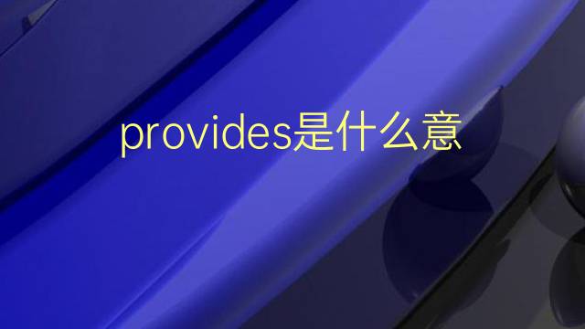 provides是什么意思 provides的翻译、读音、例句、中文解释