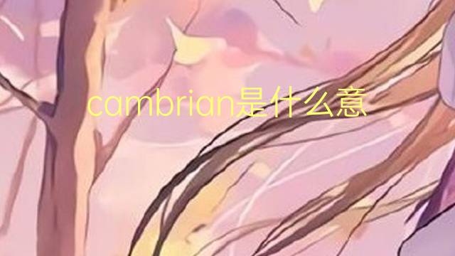 cambrian是什么意思 cambrian的翻译、读音、例句、中文解释