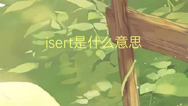 isert是什么意思 isert的翻译、读音、例句、中文解释