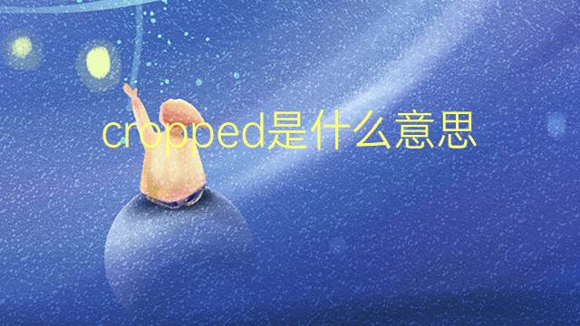 cropped是什么意思 cropped的翻译、读音、例句、中文解释