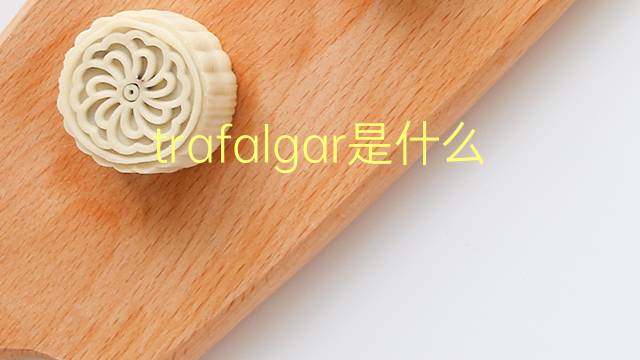 trafalgar是什么意思 trafalgar的翻译、读音、例句、中文解释