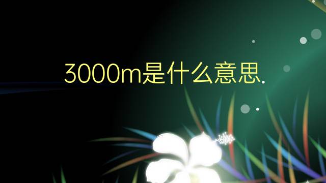 3000m是什么意思 3000m的翻译、读音、例句、中文解释