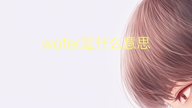 wafer是什么意思 wafer的翻译、读音、例句、中文解释