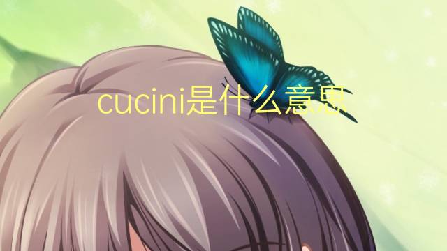 cucini是什么意思 cucini的翻译、读音、例句、中文解释