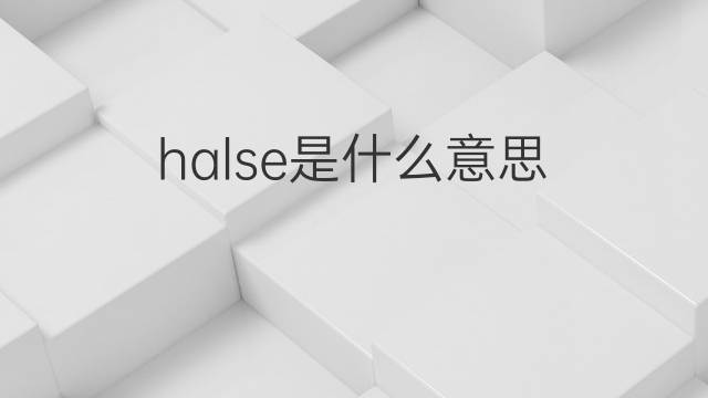 halse是什么意思 halse的翻译、读音、例句、中文解释