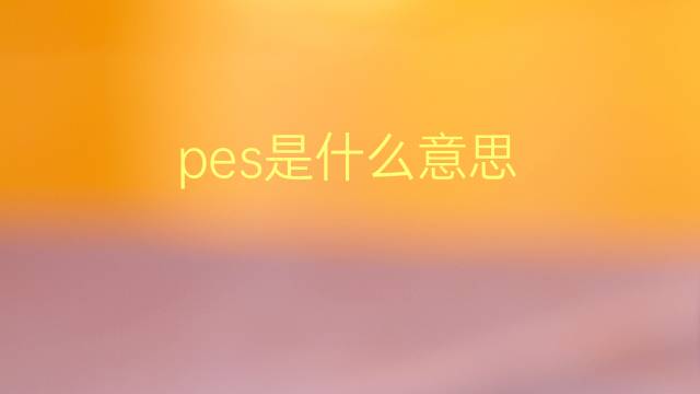 pes是什么意思 pes的翻译、读音、例句、中文解释