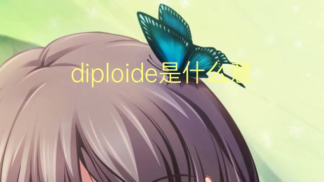 diploide是什么意思 diploide的翻译、读音、例句、中文解释