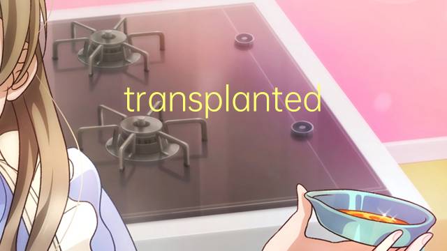 transplanted是什么意思 transplanted的翻译、读音、例句、中文解释