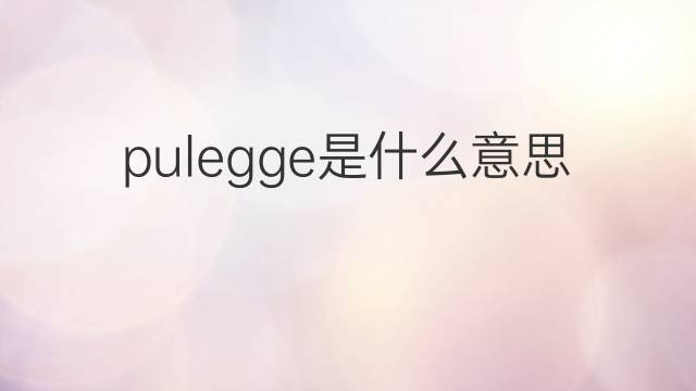 pulegge是什么意思 pulegge的翻译、读音、例句、中文解释