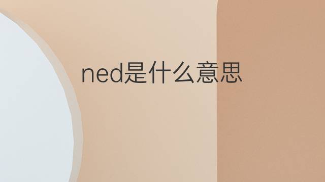 ned是什么意思 ned的翻译、读音、例句、中文解释