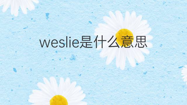 weslie是什么意思 weslie的翻译、读音、例句、中文解释