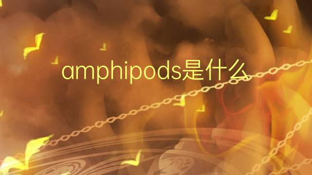 amphipods是什么意思 amphipods的翻译、读音、例句、中文解释