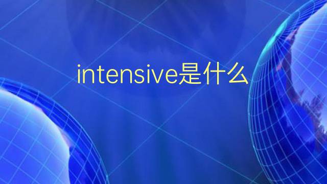 intensive是什么意思 intensive的翻译、读音、例句、中文解释