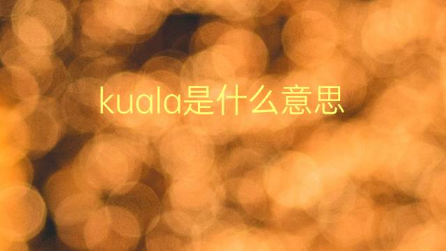 kuala是什么意思 kuala的翻译、读音、例句、中文解释