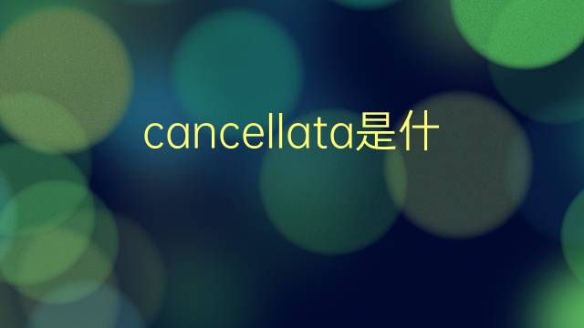 cancellata是什么意思 cancellata的翻译、读音、例句、中文解释