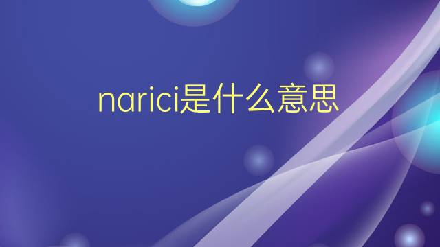 narici是什么意思 narici的翻译、读音、例句、中文解释