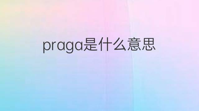 praga是什么意思 praga的翻译、读音、例句、中文解释