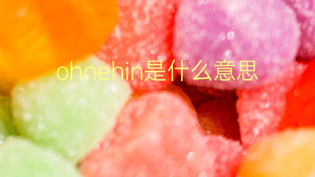 ohnehin是什么意思 ohnehin的翻译、读音、例句、中文解释